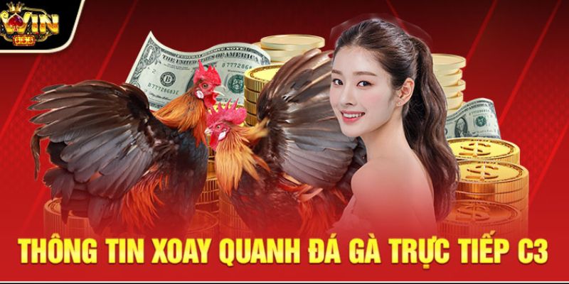 Thông tin xoay quanh về đá gà trực tiếp C3